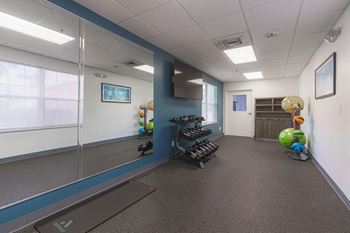 Gym room with a treadmill, weights, and exercise balls